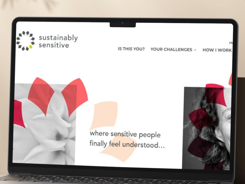 Sustainably Sensitive by Emily Agnew Sustainably Sensitive Website Screenshot for HSP Blogs & Websites guide