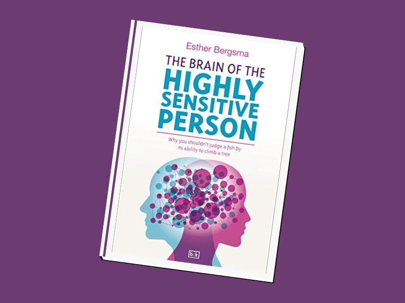The Brain of the Highly Sensitive Person - by Esther Bergsma
