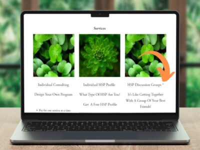 HSP Discussion Groups - Monthly Meetings with Dr. Jadzia Jagiellowicz