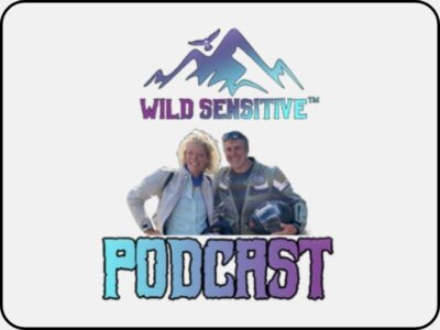 The Wild Sensitive Podcast
